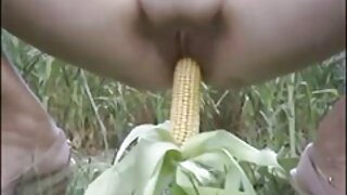 Õnnelik kukk